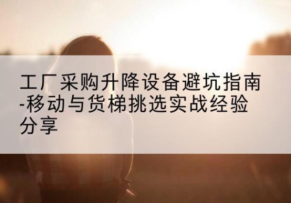 武都移动式升降机怎么选-工厂采购升降设备避坑指南-移动与货梯挑选实战经验分享
