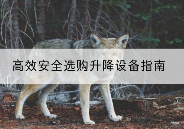 武都升降货梯厂家推荐-*安全选购升降设备指南