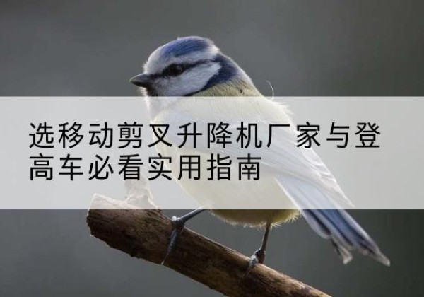 武都电动升降机厂家-选移动剪叉升降机厂家与登高车必看实用指南
