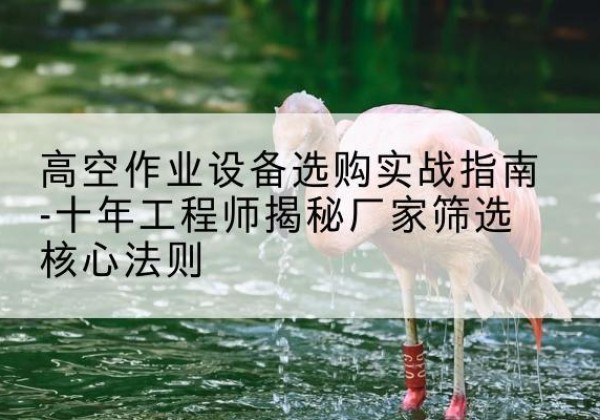 武都剪叉式升降机厂家-高空作业设备选购实战指南-十年工程师揭秘厂家筛选核心法则