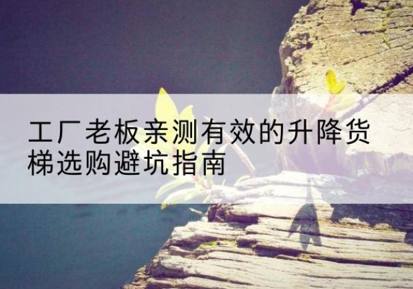 武都升降货梯怎么选-工厂老板亲测有效的升降货梯选购避坑指南